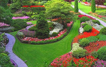 Piante da esterno ed interno