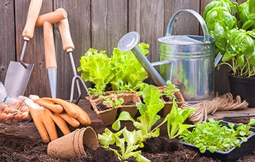 Fornitura prodotti per il giardino