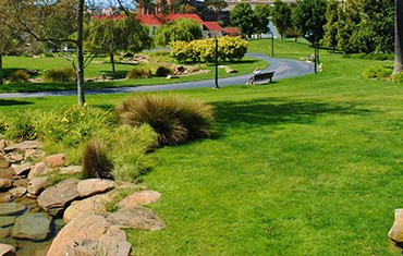 Progettazione aree verdi